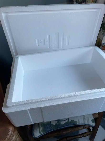 Photo of free Polystyrene Boxes (Hollingbourne ME17) #1