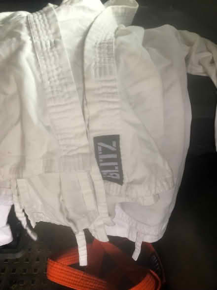 Photo of free Kids karate kits and belts (Mosedale CA11) #2