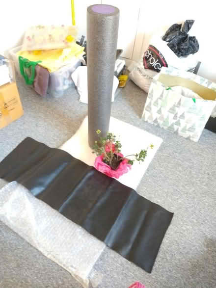 Photo of free Exercise roll, plant, fabric (Cambridge, off Newmarket rd) #1