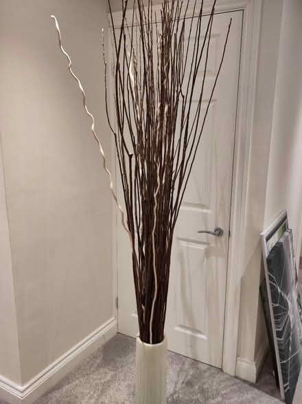 Photo of free Decorative twigs (Shieldfield NE2) #1