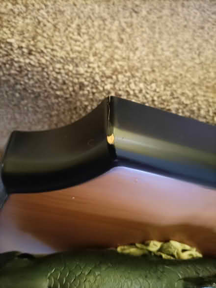 Photo of free Singing Billy Bass (CH2 Newton) #3