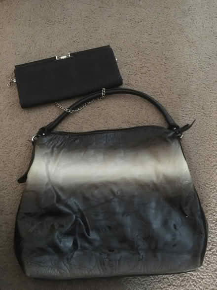 Photo of free Two bags (Annapolis Overlook) #1