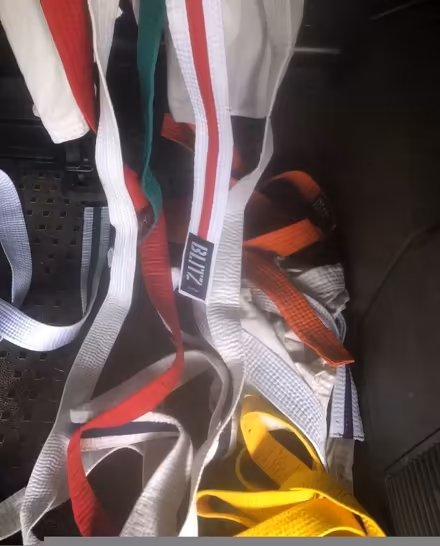 Photo of free Kids karate kits and belts (Mosedale CA11) #1