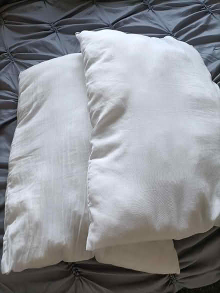 Photo of free Pillows (Yoker G14) #1