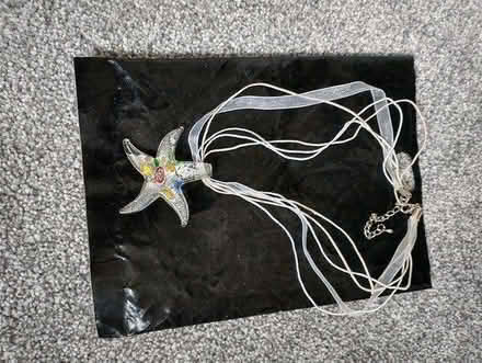 Photo of free Star necklace (Heatherside) #1