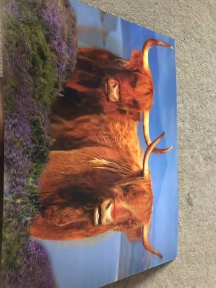 Photo of free Two 3D pictures (Surbiton KT6) #2