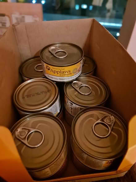 Photo of free Cat tree, toy, and wet cat food (L2) #4