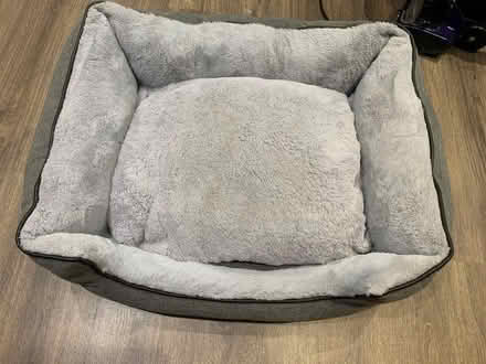 Photo of free Medium Sized Pet Bed (Monkmoor SY2) #3