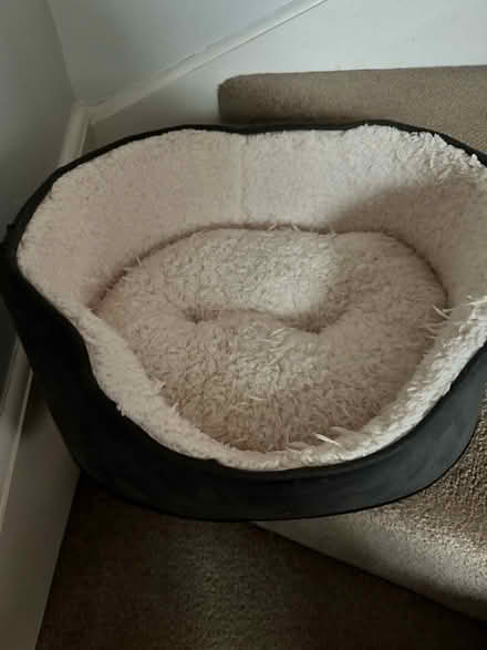 Photo of free Small Dog/Puppy/Cat Bed (DE21) #2