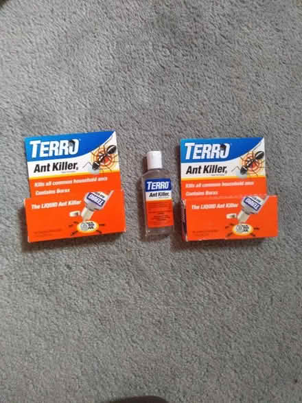 Photo of free Terro ant killing liquid (N. Queen Anne) #1