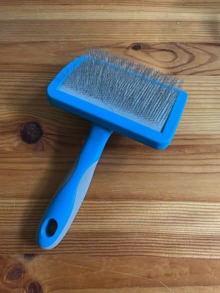 Photo of free Dog grooming brush (E10) #2