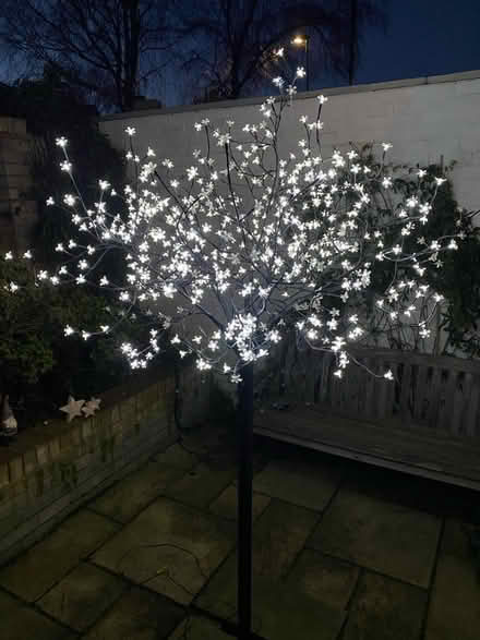 Photo of free 7ft LED Cherry Blossom Tree (Watton at Stone SG14) #2