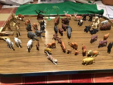 Photo of free Toy Zoo Animals (Chells, Stevenage SG2) #1