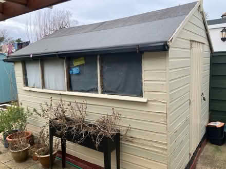 Photo of free Wooden Garden Shed (Tonbridge TN10) #1