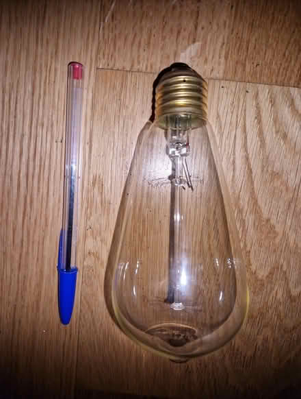 Photo of free Filament bulb (Elephant and Castle) #1