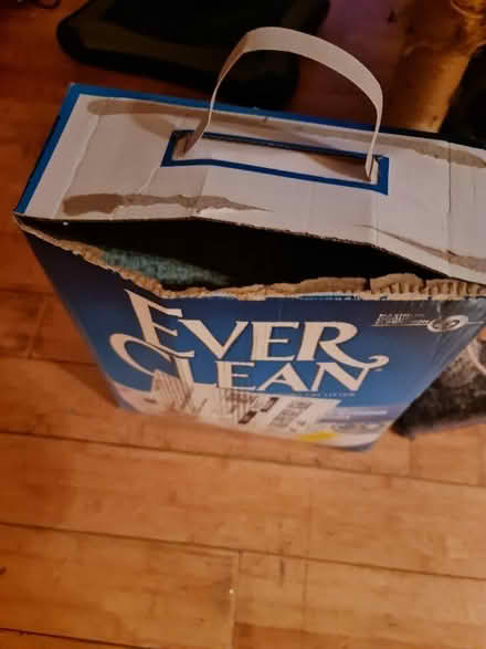 Photo of free Cat tree, toy, and wet cat food (L2) #3