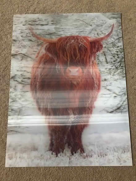 Photo of free Two 3D pictures (Surbiton KT6) #4