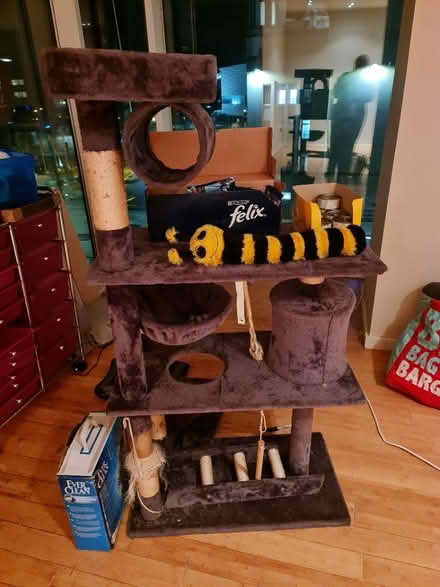 Photo of free Cat tree, toy, and wet cat food (L2) #1