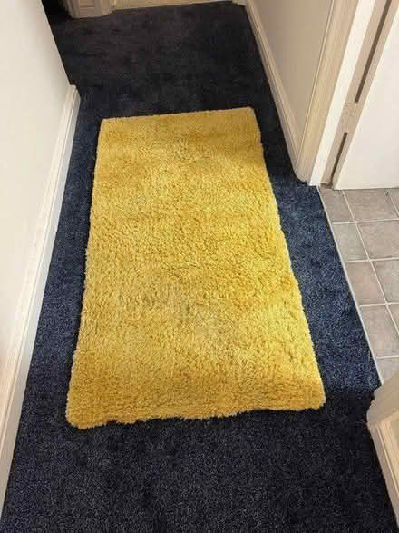 Photo of free 2 Rugs FREE TO GIVE AWAY (TW9) #1