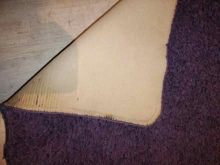 Photo of free Purple runner rug (Southport PR8) #3