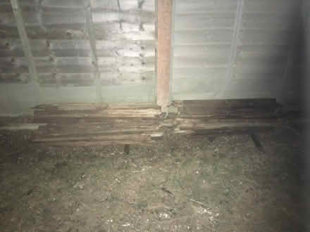 Photo of free Battens for Gardeners projects (Heath End GU11) #1