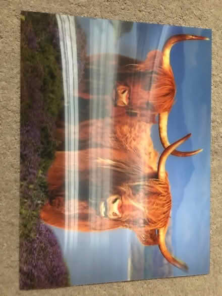 Photo of free Two 3D pictures (Surbiton KT6) #1