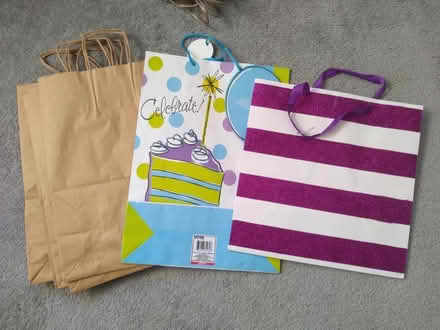 Photo of free Large gift bags (N. Queen Anne) #1