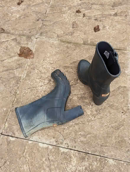 Photo of free Hunter ankle boots (Huntley) #2