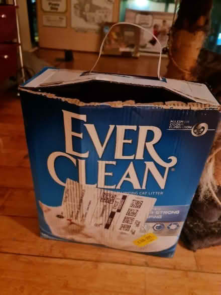 Photo of free Cat tree, toy, and wet cat food (L2) #2