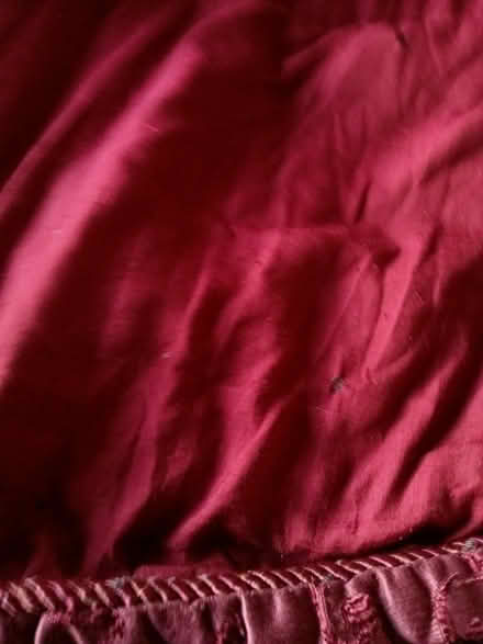 Photo of free Comforter (white center) #1
