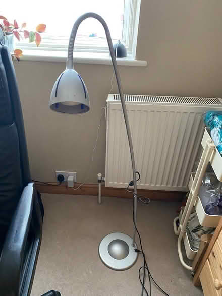 Photo of free Tall lamp (East Ham E6) #2