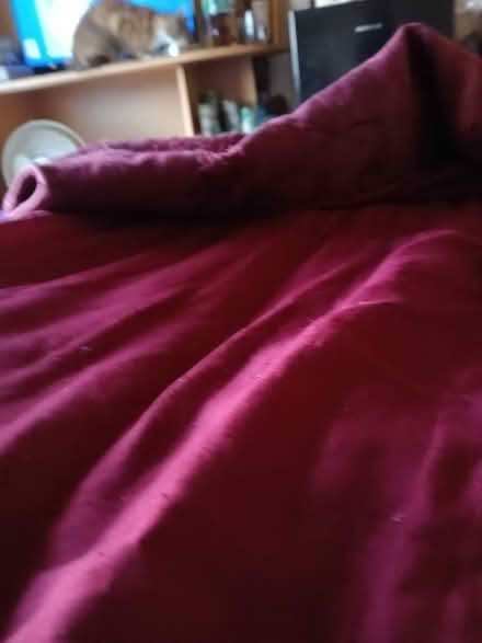 Photo of free Comforter (white center) #2