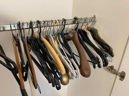 Photo of free Large quantity coat hangers (Southwaite CA4) #1