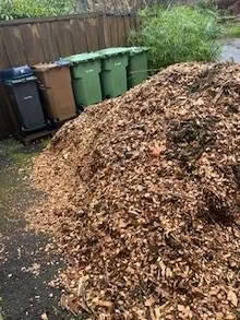 Photo of free Wood Chips in San Anselmo (near lower Brookside) #1