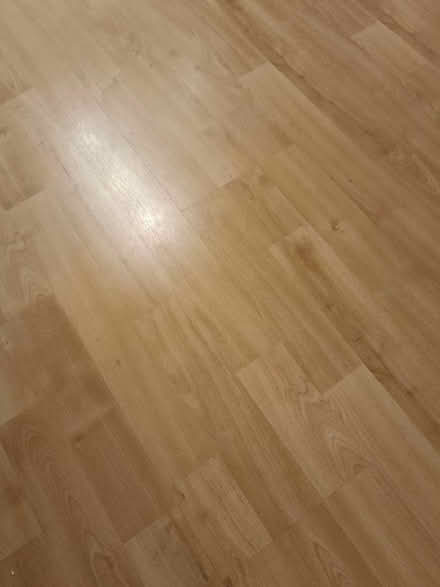 Photo of Spare panel - laminate flooring (St Madoes PH2) #1