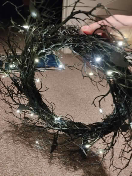 Photo of free Christmas and Halloween wreaths (Herdings, S14) #3