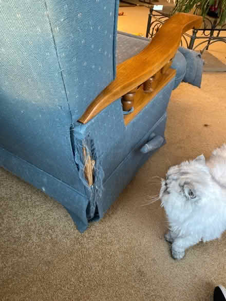 Photo of free Blue Recliner Chair (Lake Stevens) #3