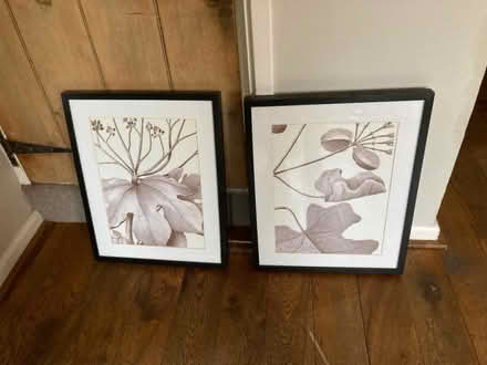 Photo of free 4 IKEA RIBBA picture frames (Duffield DE56) #2