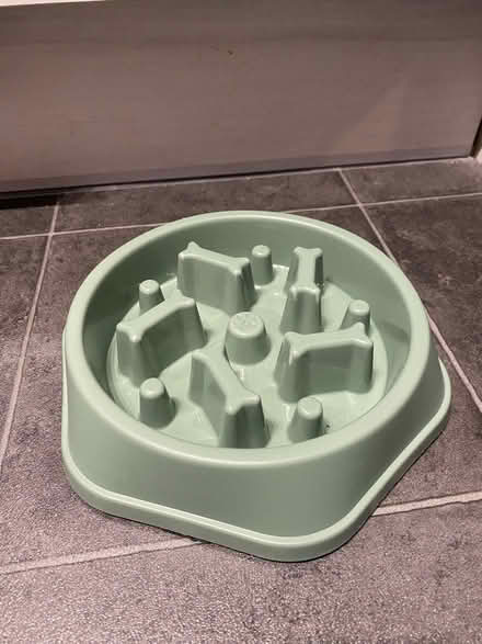 Photo of free Dog food bowl (Brunswick M13) #1