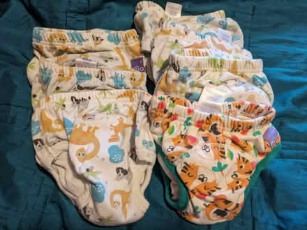 Photo of free Reusable training pants (Longlevens, Gloucester) #1