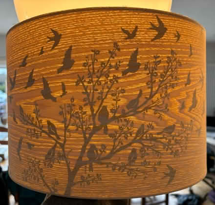 Photo of free Lamp shades (Harpenden) #1