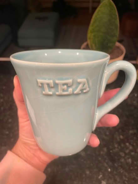 Photo of free Blue Tea Mug (South End) #1