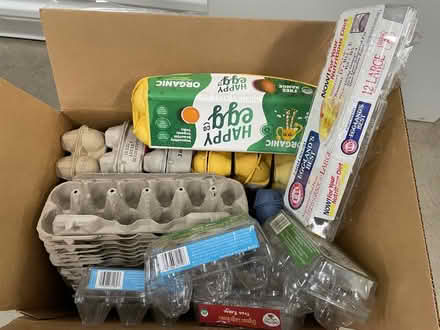 Photo of free Paper and plastic egg cartons (Pasadena, near Bungalow Heaven) #1