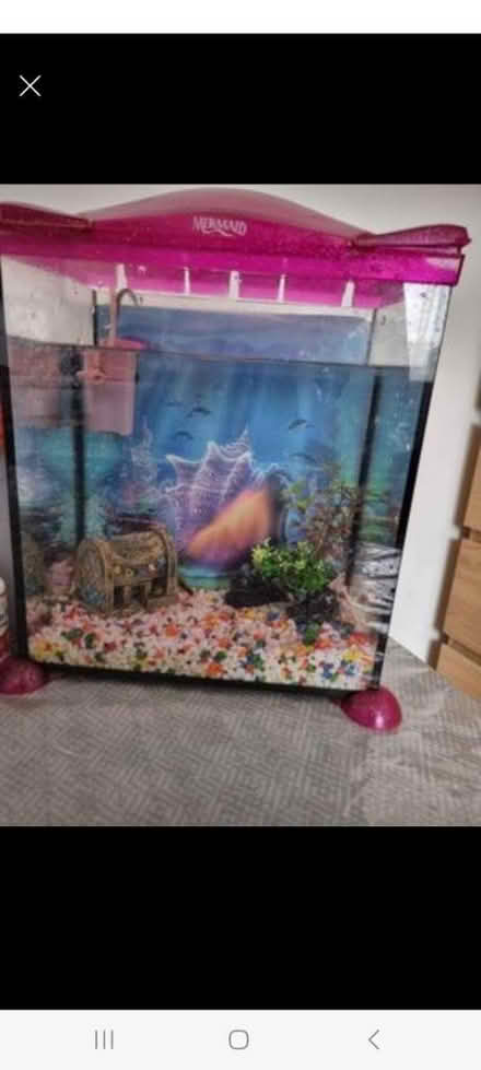 Photo of free Aquarium (SW16 norbury) #1