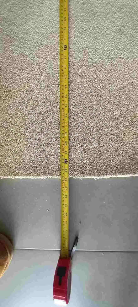 Photo of free Carpet brand new. (Ilsington TQ13) #3