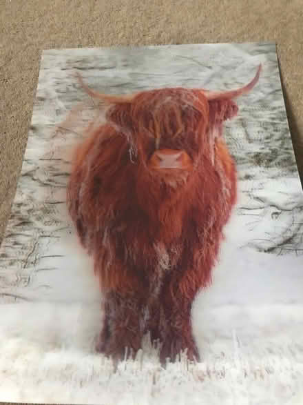Photo of free Two 3D pictures (Surbiton KT6) #1
