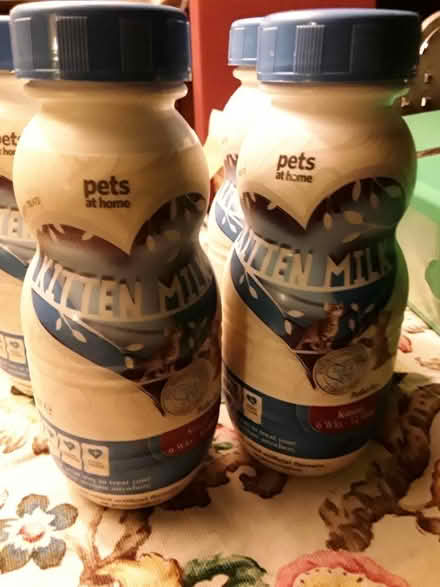 Photo of free OOD Kitten Milk (CT15) #1