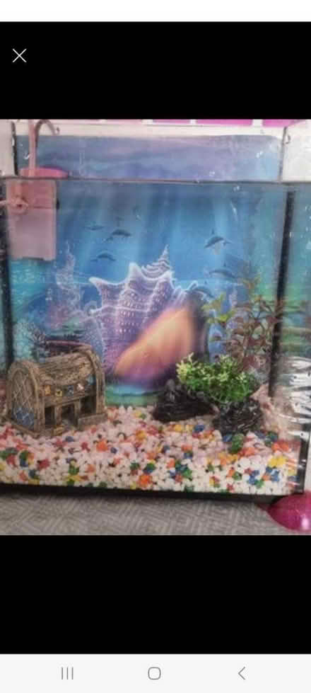 Photo of free Aquarium (SW16 norbury) #2