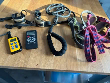 Photo of free Dog leads and collars (Droitwich WR9) #1