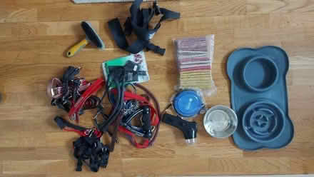 Photo of free Dog Leads etc (Normanton DE23) #1